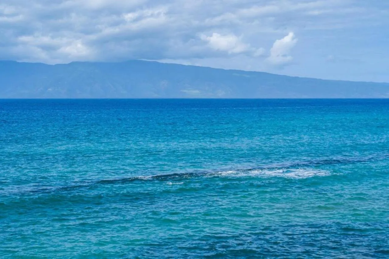 Direct Oceanfront Views Modern Penthouse In Paradise Kahana 0*,